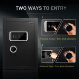 WINCENT Deluxe Home Security Safe
