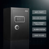 WINCENT Deluxe Home Security Safe